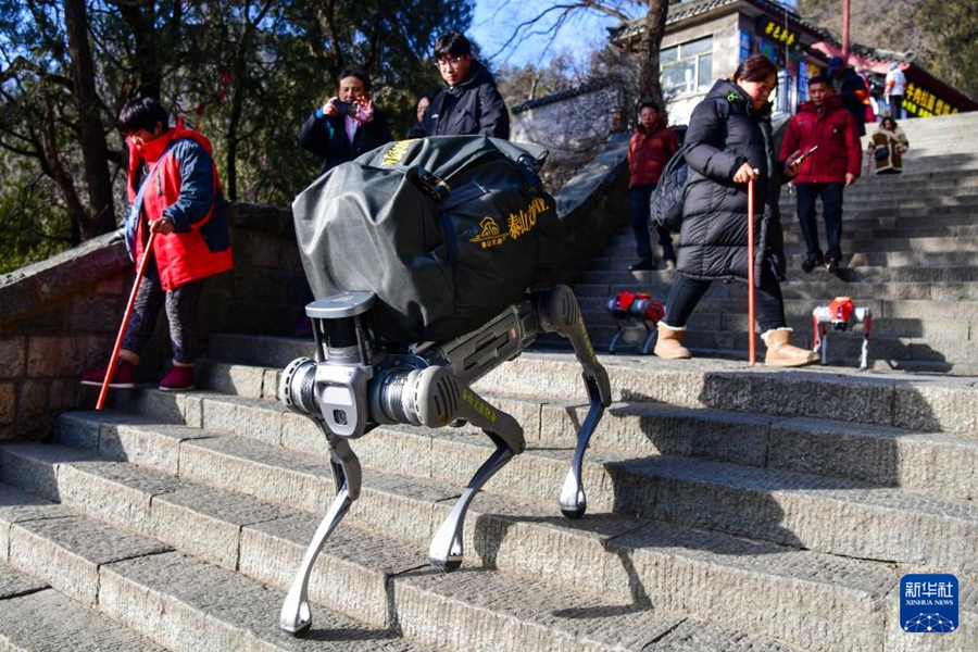 泰山でロボット犬の第2回運用テストを実施　山東省