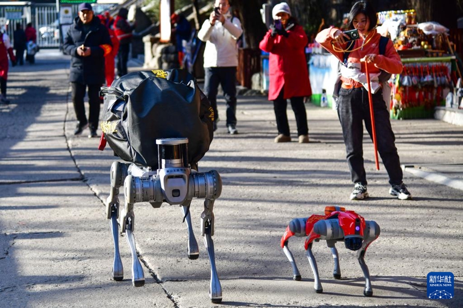 泰山でロボット犬の第2回運用テストを実施　山東省