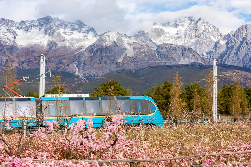 玉竜雪山の麓を走る麗江雪山観光列車（画像提供・取材対応者）。