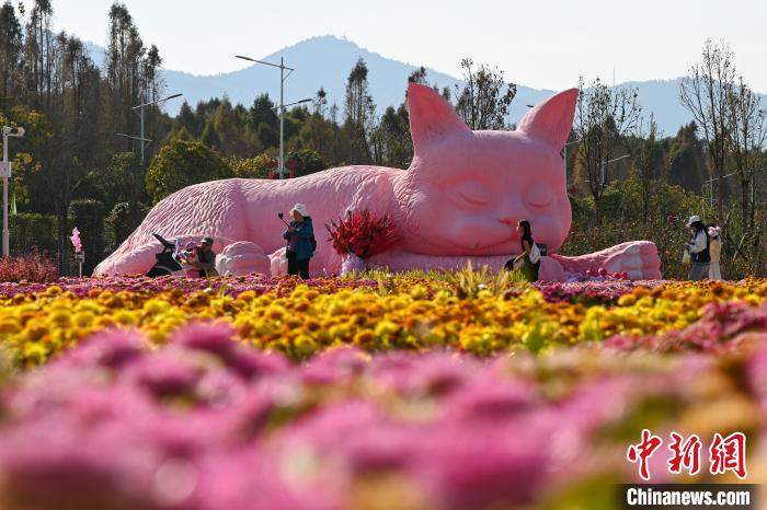 色とりどりの花々が来園客を魅了するモネガーデンが開園　雲南省昆明