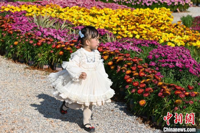 色とりどりの花々が来園客を魅了するモネガーデンが開園　雲南省昆明