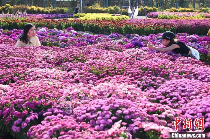 色とりどりの花々が来園客を魅了するモネガーデンが開園　雲南省昆明