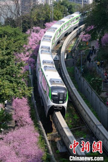 春に向かう列車　重慶