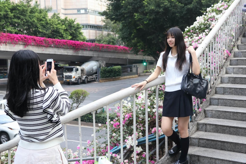 広州に春到来　ブーゲンビリアが咲き乱れる歩道橋