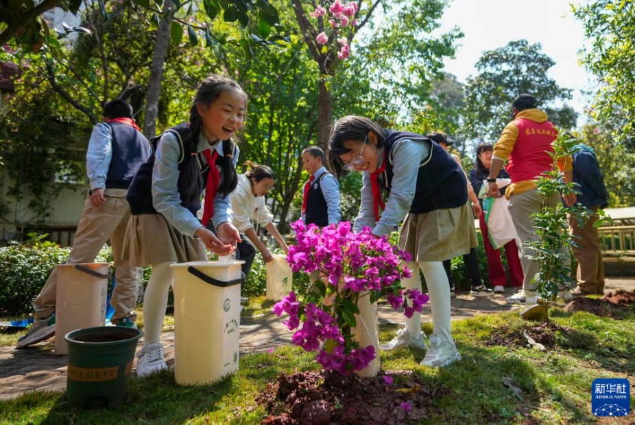 新緑が芽吹く春に、中国各地で植樹活動