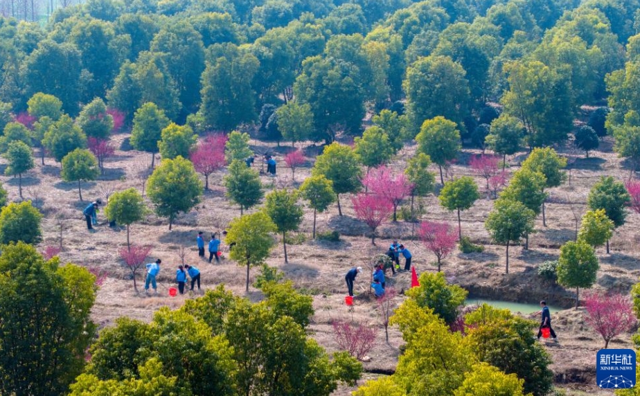 新緑が芽吹く春に、中国各地で植樹活動