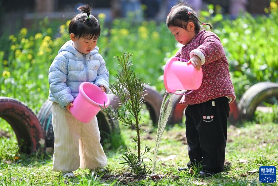 新緑が芽吹く春に、中国各地で植樹活動