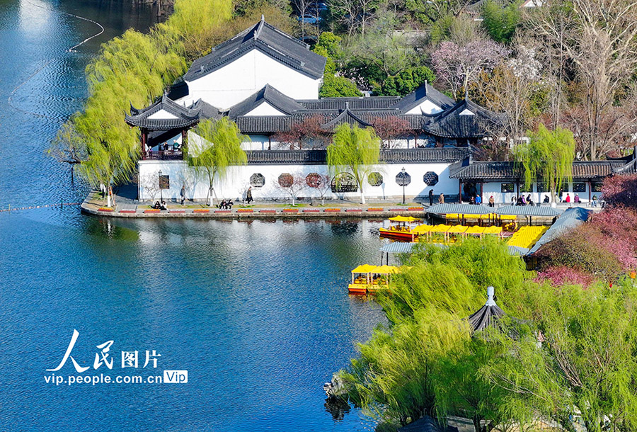 美しい春景色が広がる江蘇省南京市の莫愁湖公園（撮影・方東旭/写真著作権は人民図片が所有のため転載禁止）。