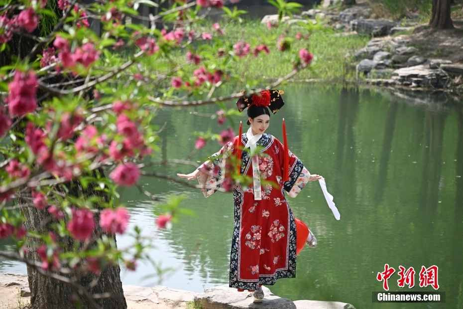 来園客を魅了する中山公園の満開の春の花　北京市