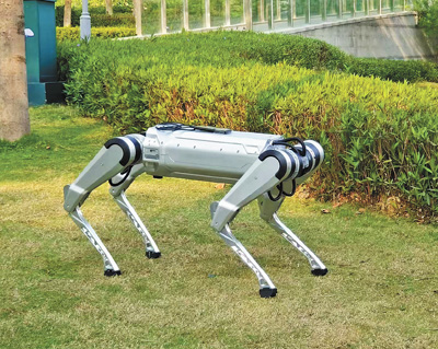 屋外で行われる犬型ロボットのテストの様子（資料写真）。