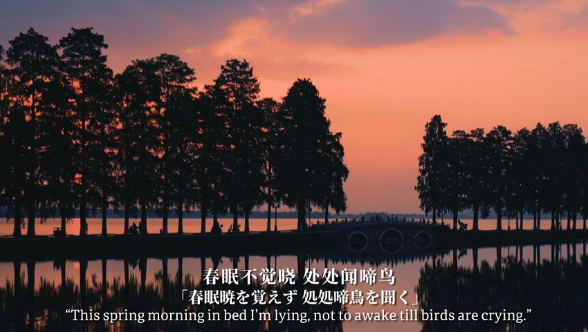 日本大阪・関西万博の中国パビリオンで「十二時辰」を紹介する動画上映中