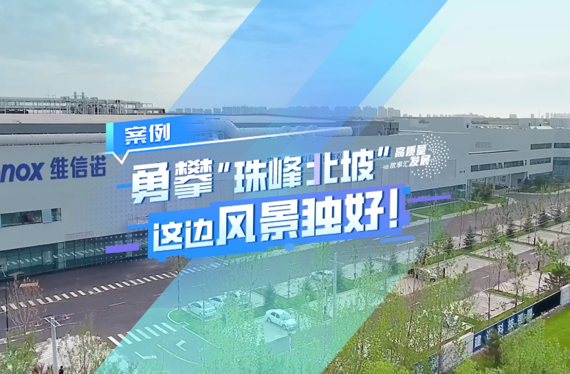 中国のディスプレイ産業の運命を変えた小さな「ガラス片」