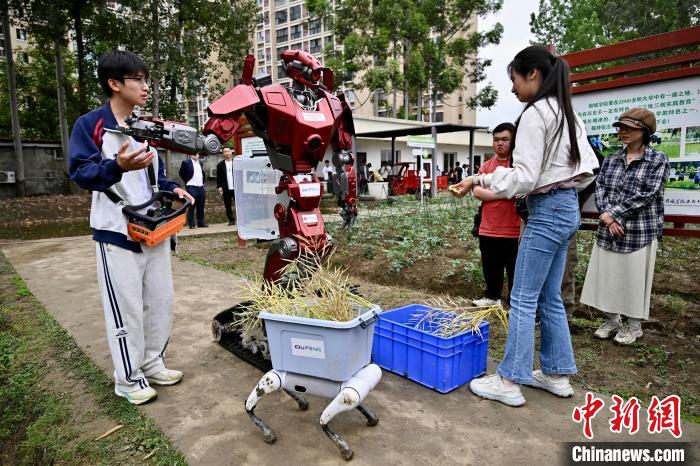 大学農場で菜種の収穫手伝う人型ロボットとロボット犬　四川省成都