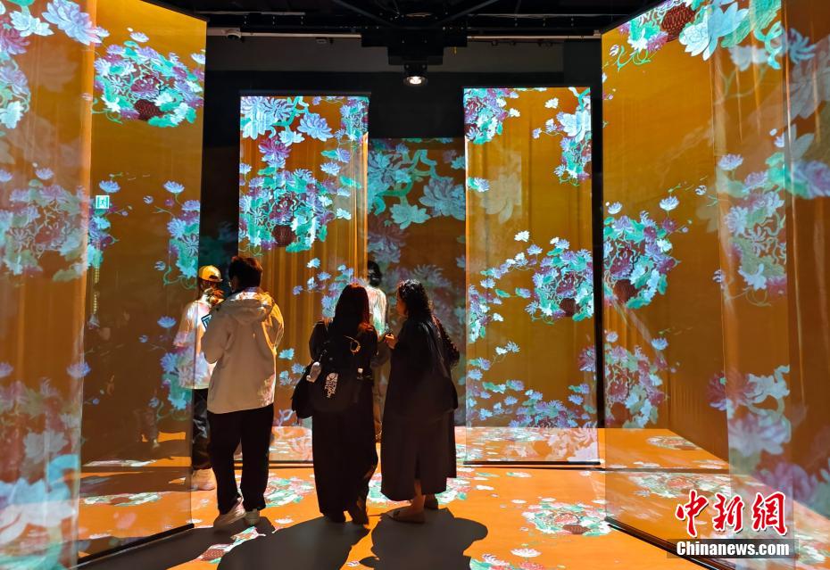 香港故宮文化博物館で故宮の「模様」を没入型体験できる特別展