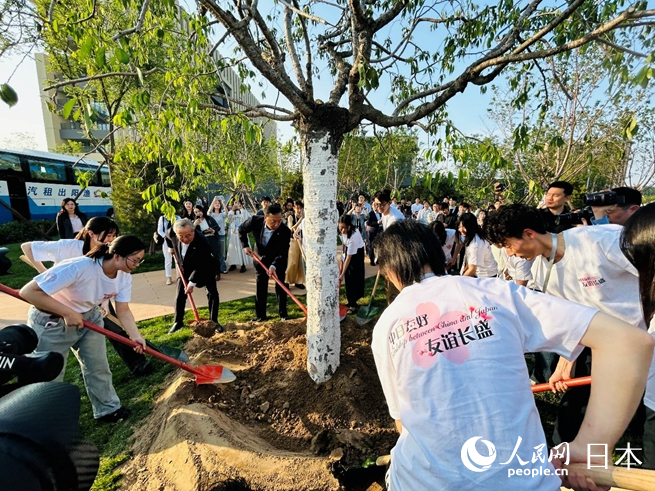 友好の象徴である桜の木を植える主催者代表と両国の大学生（撮影・許可）。