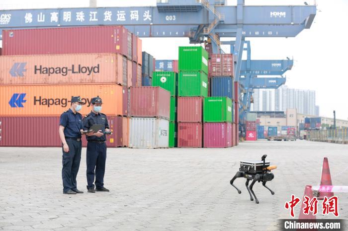 このロボット犬を操作して輸入コンテナの放射性物質を検査している広州税関の職員。画像提供：広州税関
