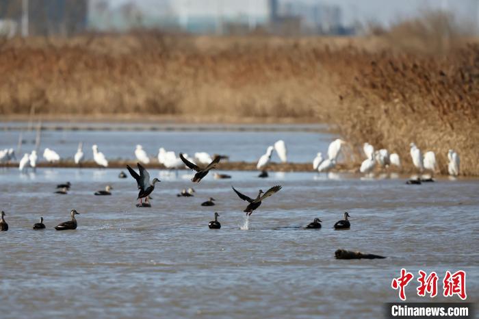 「生物多様性都市」浙江省紹興市、これまでに5954種の生物種を発見