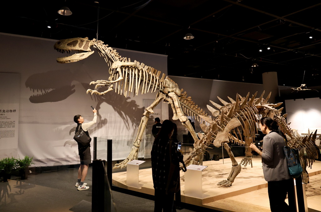 恐竜の化石展示を眺める来場者（5月26日撮影・方喆）。
