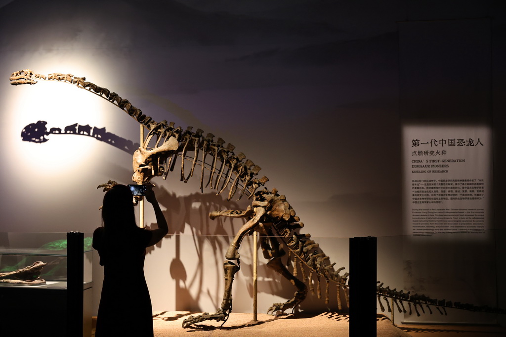 「中国恐竜大展」が上海で開幕