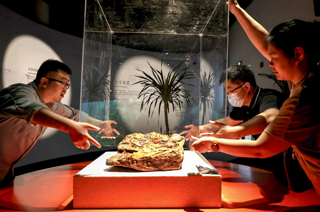 「中国恐竜大展」が上海で開幕