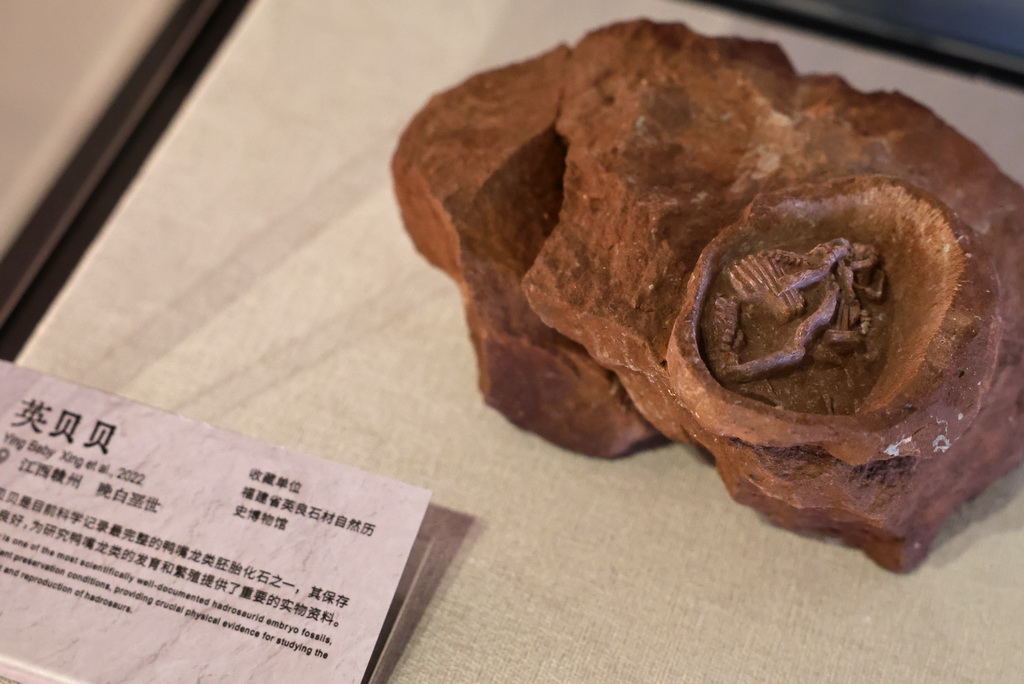 「中国恐竜大展」が上海で開幕