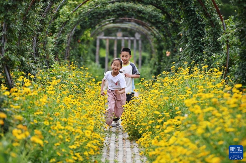 中国各地で初夏の美しさを満喫する人々