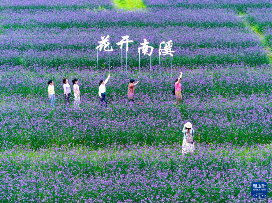 中国各地で初夏の美しさを満喫する人々