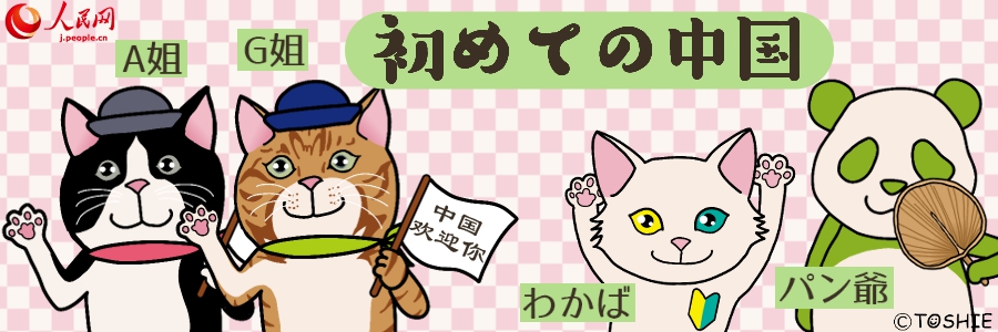 初めての中国～ビザ編～