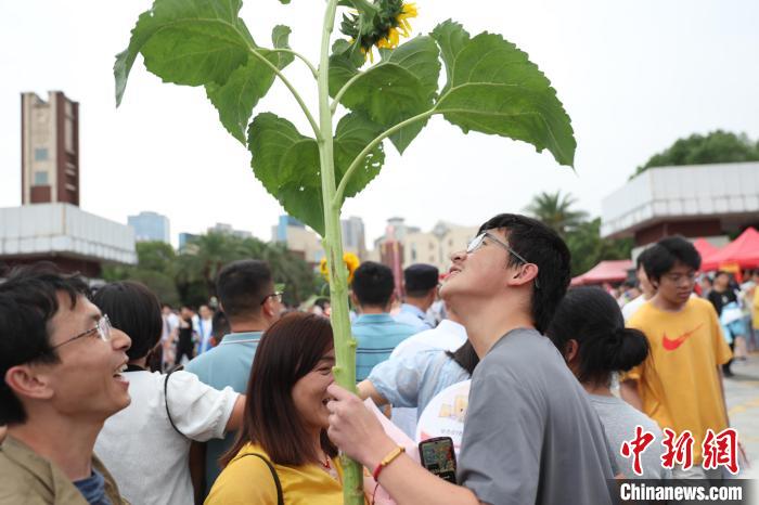 中国各地で大学入試が終了　趣向を凝らし、受験生を出迎える保護者
