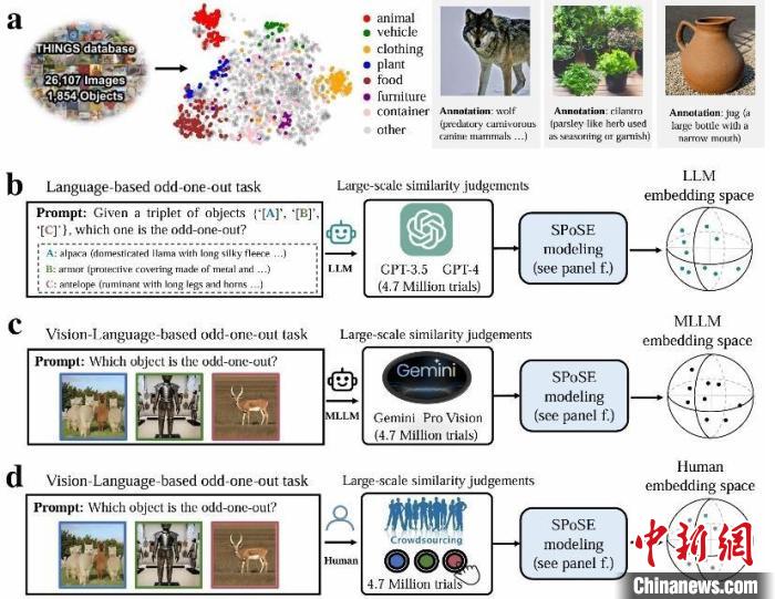 同研究の実験パラダイムのイメージ図。画像提供：自動化所