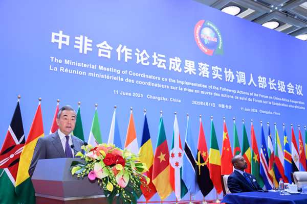 中国アフリカ協力の質の高い発展について王毅氏が5つの提言