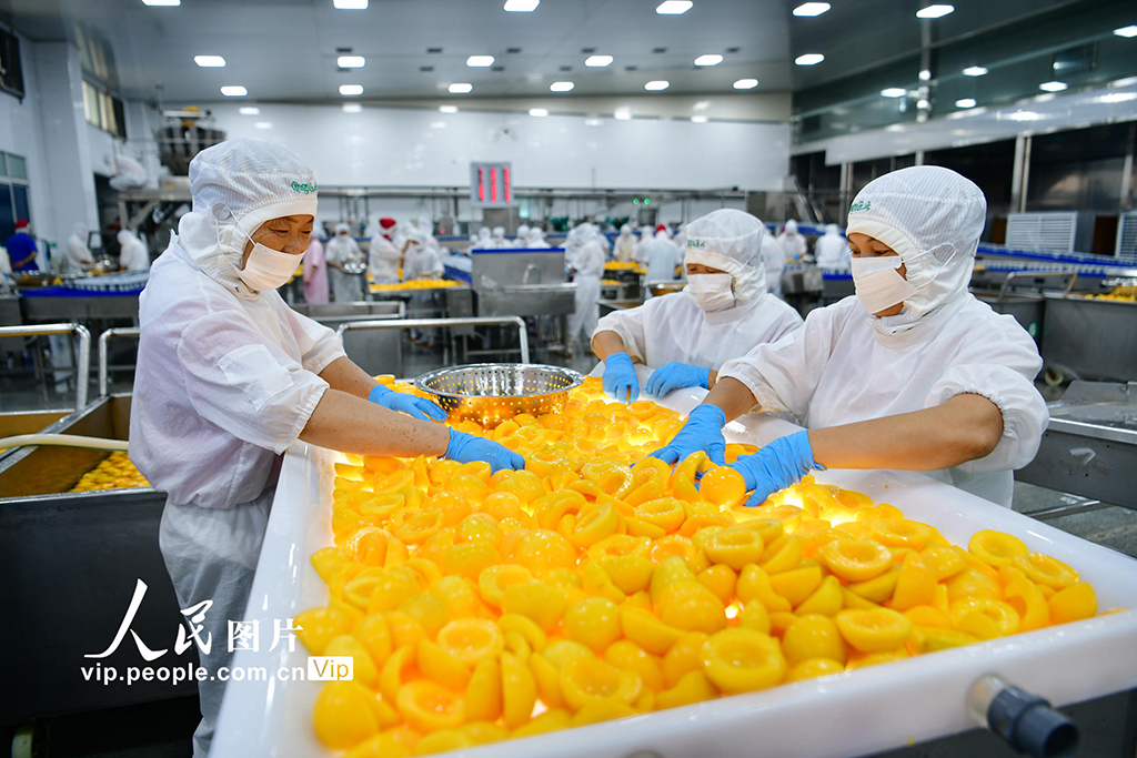 黄桃の加工品生産で農家の収入増を後押し　湖北省秭帰