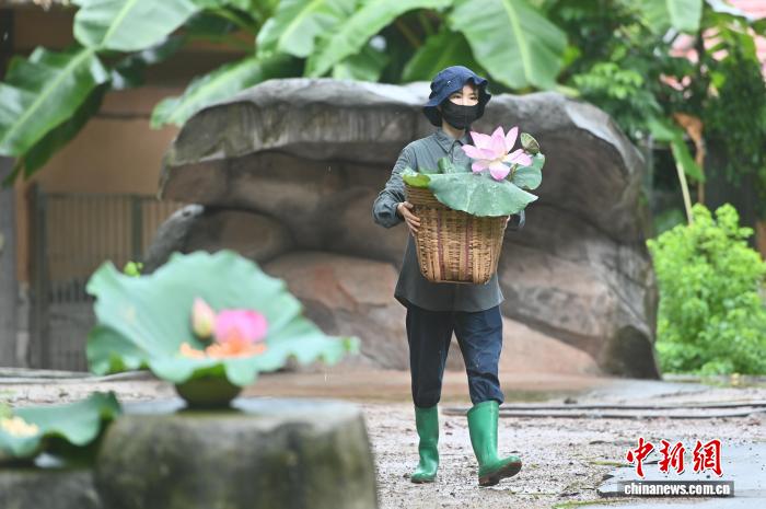 広州動物園が動物のために「暑さ対策メニュー」　広東省