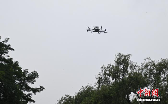 低空飛行するeVTOL（撮影・于海洋）