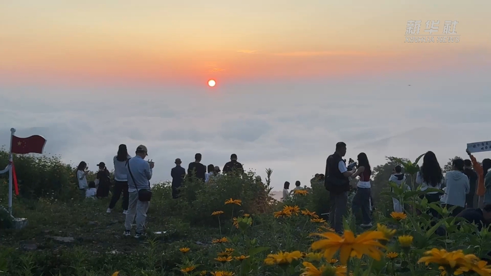 夏のスキー場が「涼を楽しむ」リゾート地に！