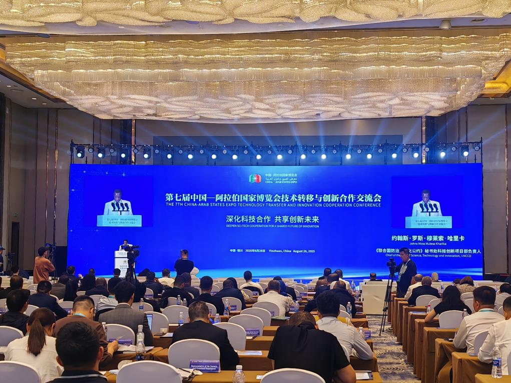 第7回中国・アラブ諸国博覧会技術移転・イノベーション協力交流会の会場の様子。撮影・唐紫宸