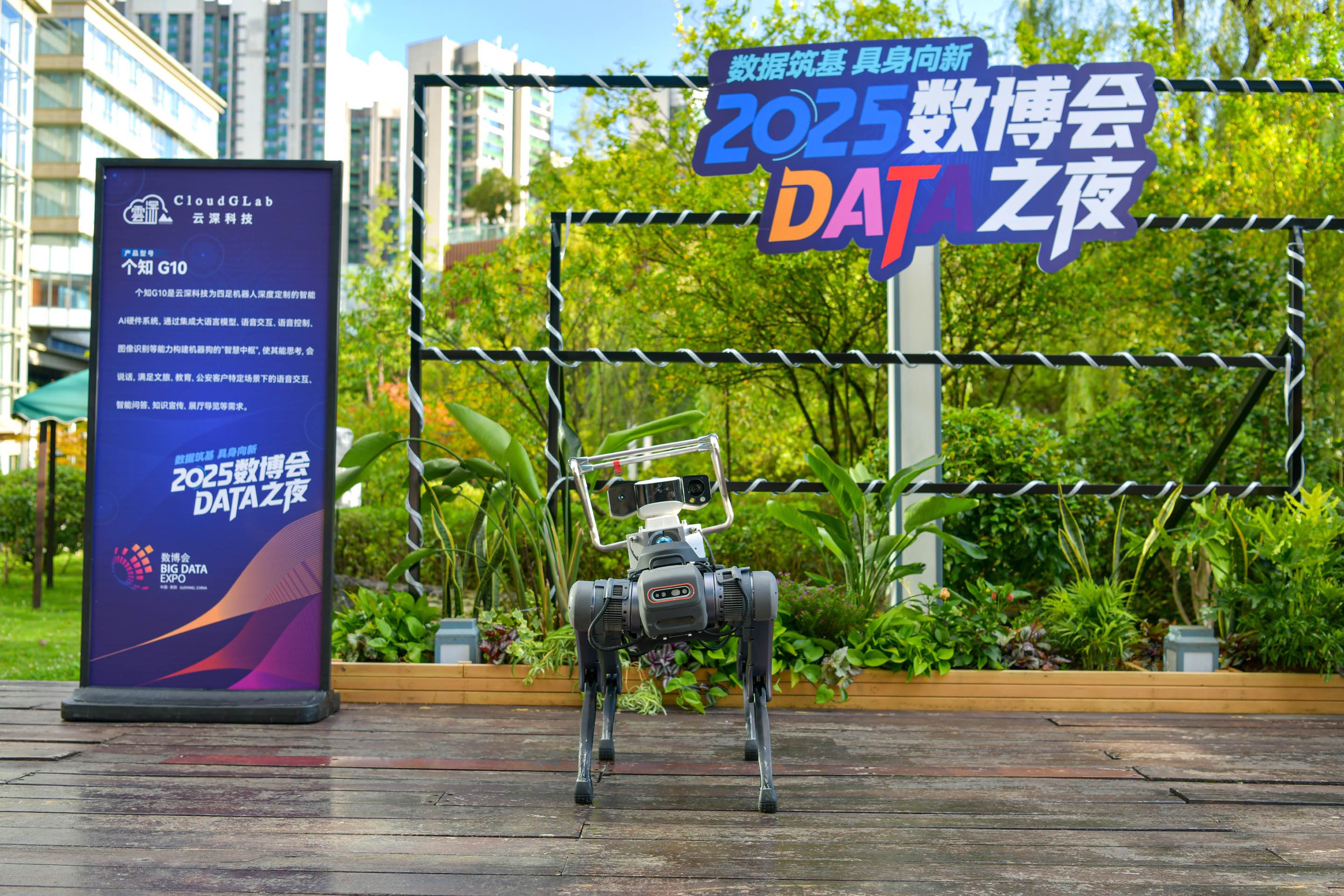 イベント「DATAの夜」に登場した犬型ロボット。（撮影・任峰涛）