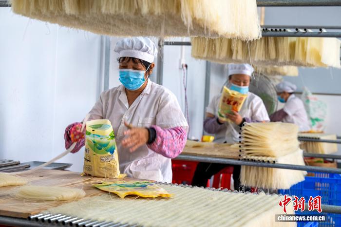 注文対応に追われる特産のライスヌードル工場　広西・蒼梧