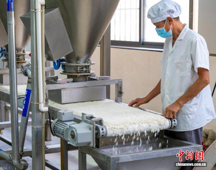 注文対応に追われる特産のライスヌードル工場　広西・蒼梧