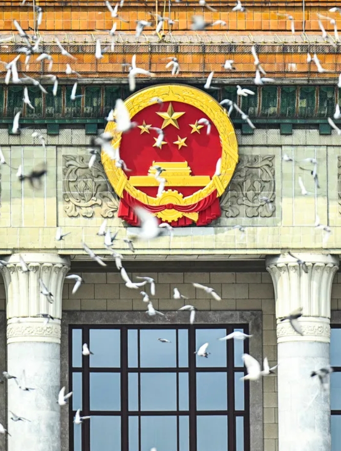 記念大会で放たれたハト（撮影・張宏祥）。