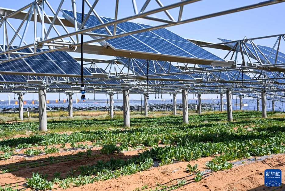 庫布其砂漠の生態系バリア構築を後押しする太陽光発電産業　内蒙古