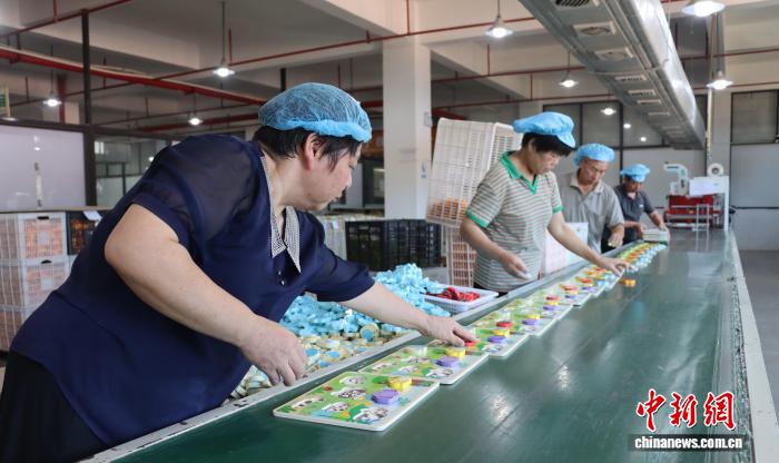 「中国木製玩具の里」を訪ねて　浙江省雲和