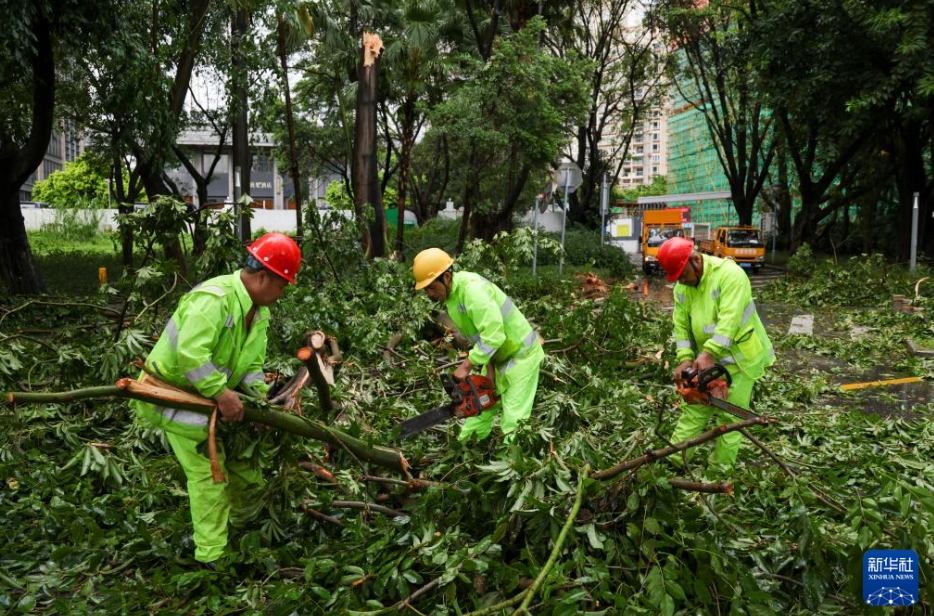 台風一過し、全市規模の「5つの停止」措置を解除 　広東省深セン