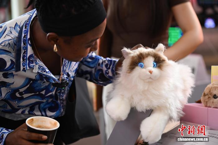 西湖の湖畔でデジタルファッション消費を楽しむ　浙江省杭州