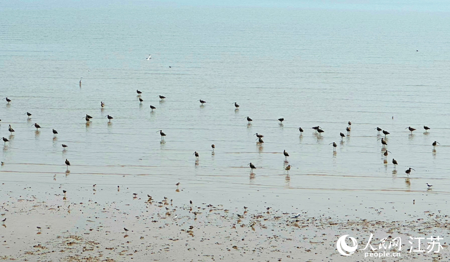 中近世日本海沿岸地域の史的展開 中近世日本海沿岸地域の史的展開