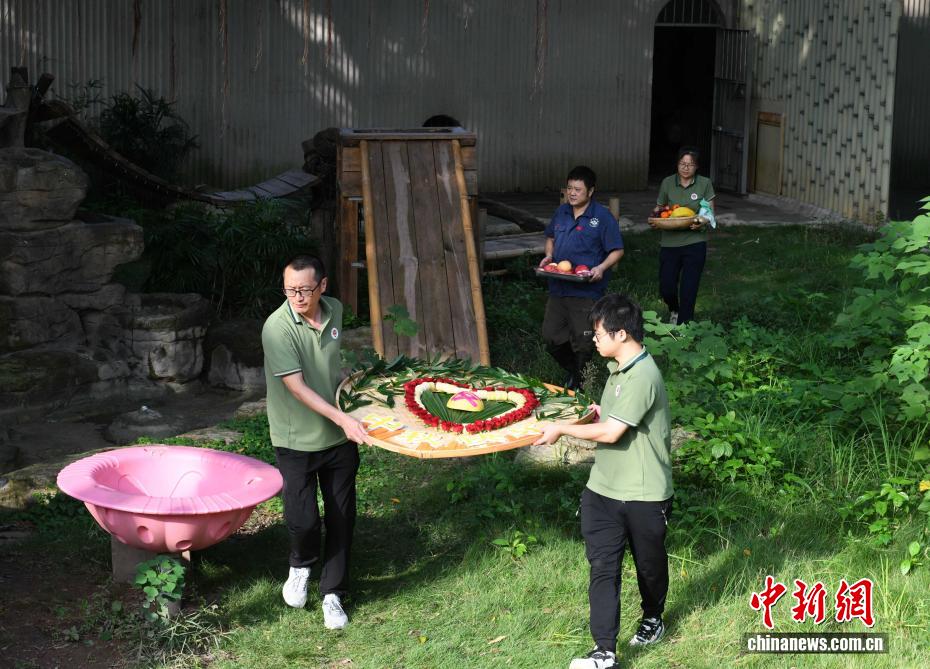 中秋節にはパンダにも特製月餅　重慶動物園