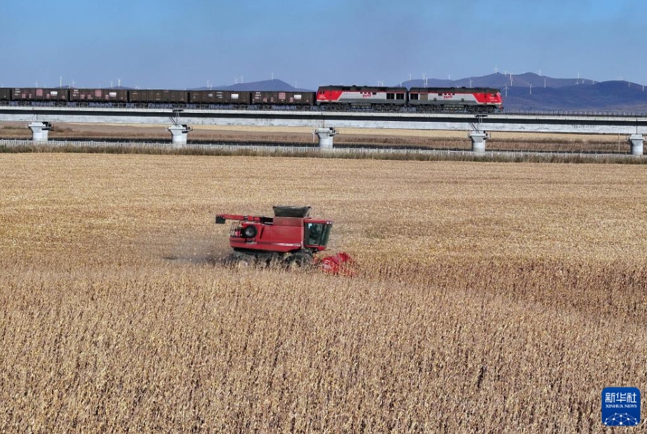 「中欧班列」東ルートの今年の貨物輸入量が2700万トン突破