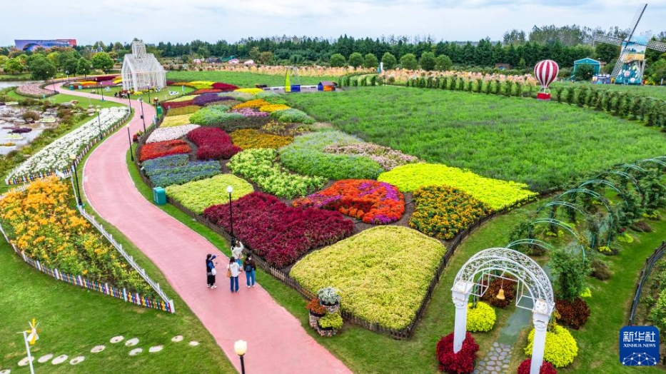 中国各地で彩り豊かな秋の到来