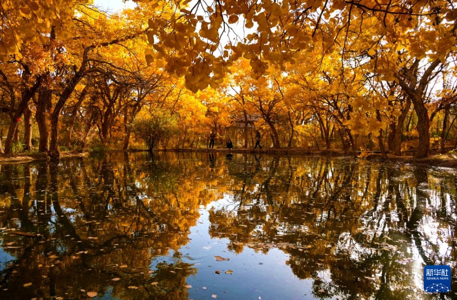 中国各地で彩り豊かな秋の到来