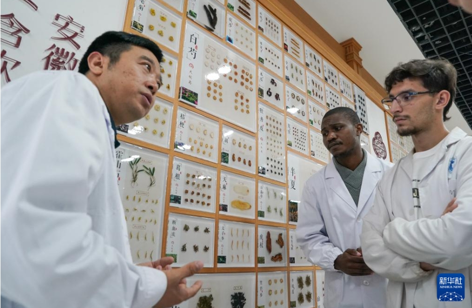 「外国人中医」の中国留学記